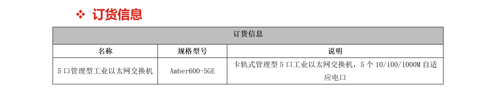 Amber600-5GE_05.png